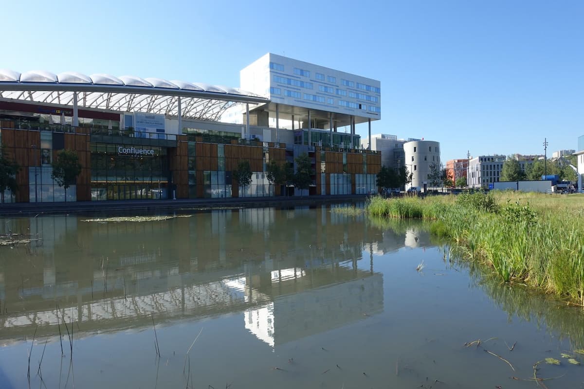 Le jardin aquatique Jean Couty à Lyon Confluence